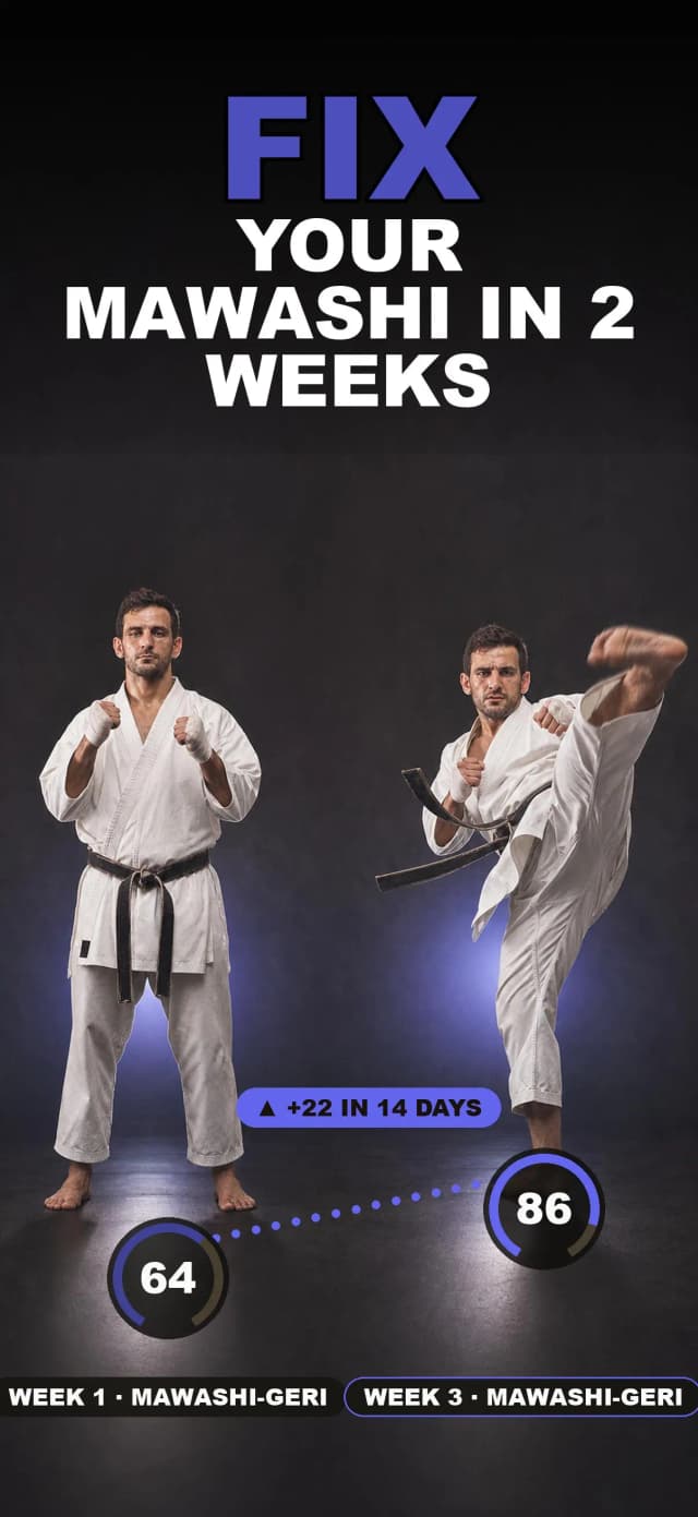 Karate AI app screen 3